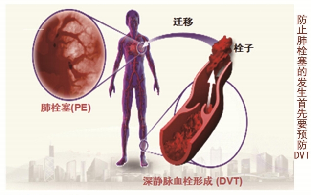 微信截图_20250427144548