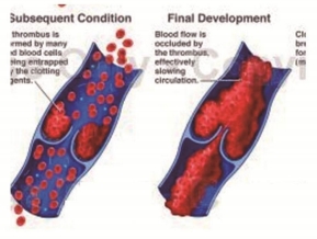 微信截图_20250427144736
