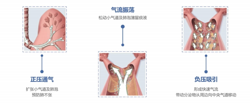 微信截图_20250430101353