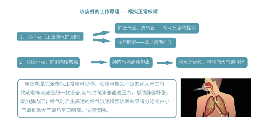 微信截图_20250509142233